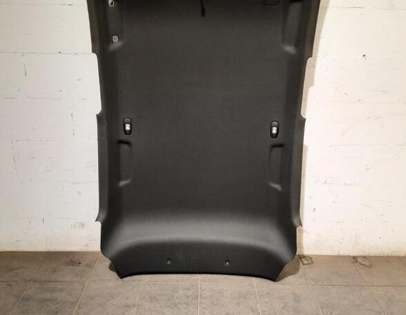 Front Interior Roof Trim Panel RENAULT CLIO V (B7_)