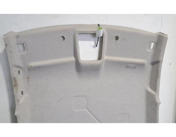 Front Interior Roof Trim Panel RENAULT ZOE (BFM_), RENAULT ZOE Hatchback Van (BFM_)