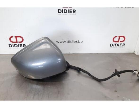 Wing (Door) Mirror VOLVO S90 II (234)