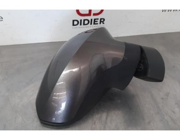 Wing (Door) Mirror SEAT IBIZA IV (6J5, 6P1), SEAT IBIZA IV SC (6J1, 6P5), SEAT IBIZA IV ST (6J8, 6P8)