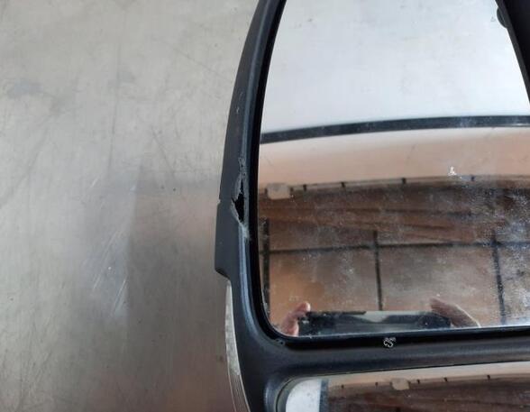 Wing (Door) Mirror RENAULT MASTER III Van (FV)