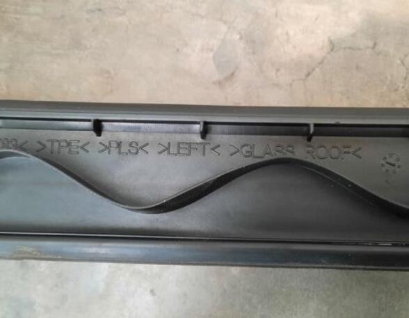 Roof Rails (Bars) RENAULT GRAND SCÉNIC IV (R9_), RENAULT SCÉNIC IV (J9_)