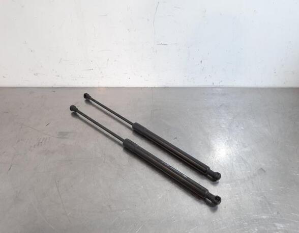 Gas Spring CITROËN C3 II (SC_), CITROËN DS3, CITROËN C3 III (SX)