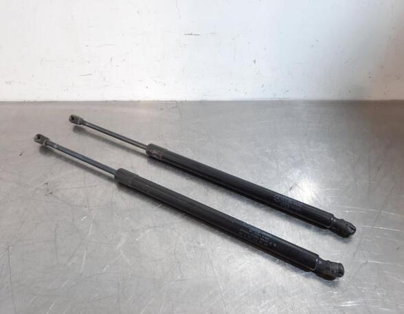 Gas Spring MERCEDES-BENZ M-CLASS (W164)