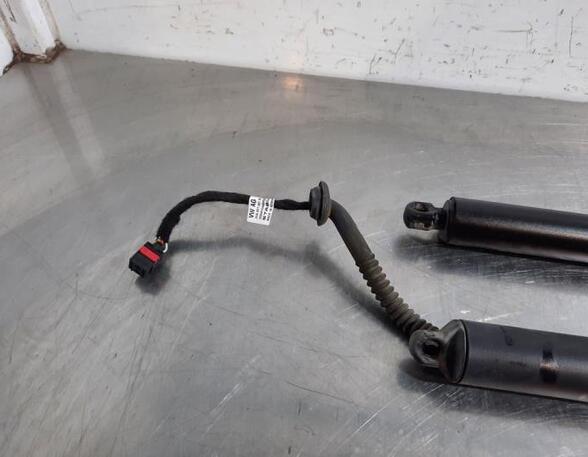 Gas Spring VW T-ROC (A11, D11)