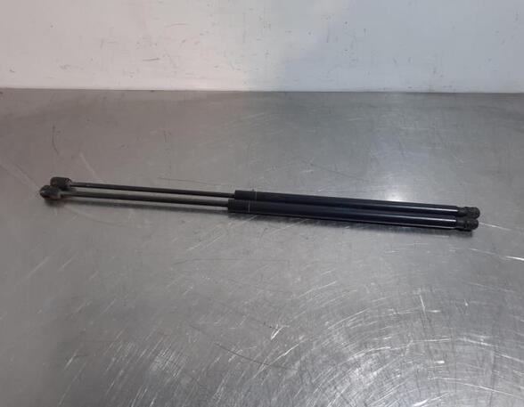 Gas Spring CITROËN C4 PICASSO I MPV (UD_), CITROËN C4 GRAND PICASSO I (UA_)