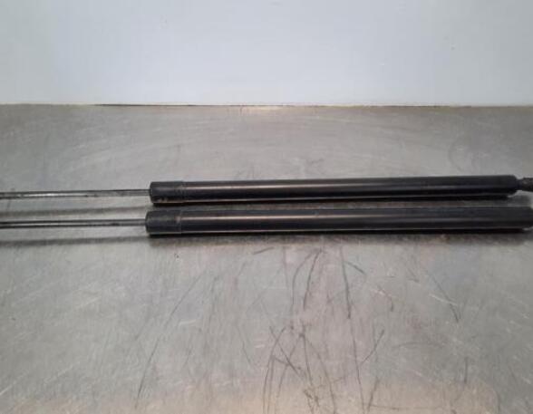 Gas Spring VW TRANSPORTER V Bus (7HB, 7HJ, 7EB, 7EJ, 7EF, 7EG, 7HF, 7EC)