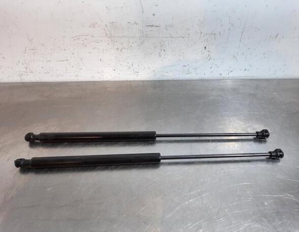 Gas Spring RENAULT TWINGO III (BCM_, BCA_)