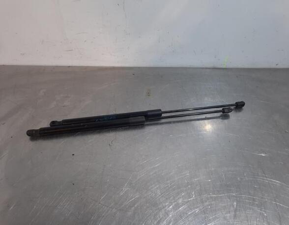 Gas Spring FIAT TIPO Estate (356_), FIAT TIPO Hatchback (356_)