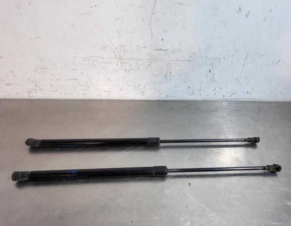 Gas Spring NISSAN QASHQAI II SUV (J11, J11_)