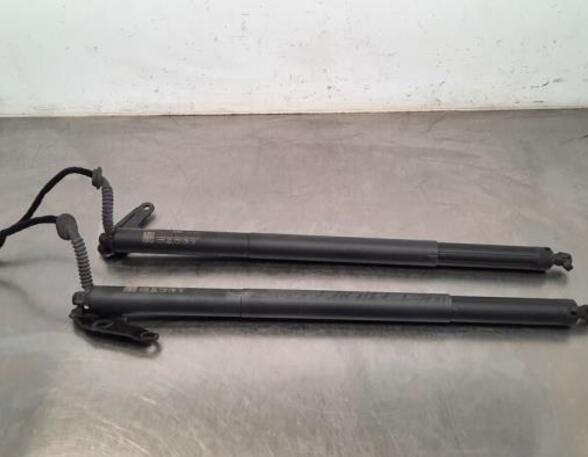 Gas Spring AUDI Q5 (FYB, FYG)