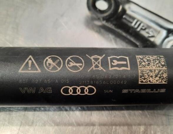 Gas Spring AUDI Q5 (FYB, FYG)