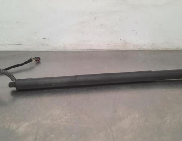 Gas Spring AUDI Q5 Sportback (FYT)