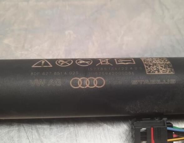 Gas Spring AUDI Q5 Sportback (FYT)