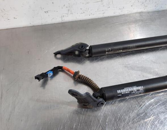 Gas Spring BMW X1 (F48), MINI MINI COUNTRYMAN (F60)