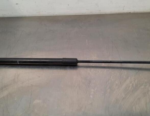 Gas Spring AUDI A6 C8 Avant (4A5)