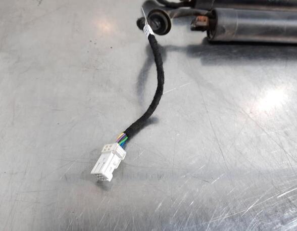 Gas Spring PEUGEOT 5008 II (MC_, MJ_, MR_, M4_)