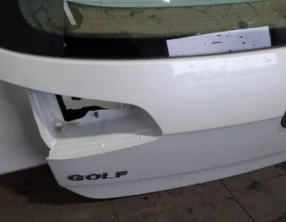 Boot (Trunk) Lid VW GOLF VII (5G1, BQ1, BE1, BE2), VW GOLF VIII Variant (CG5), VW GOLF VII Variant (BA5, BV5)