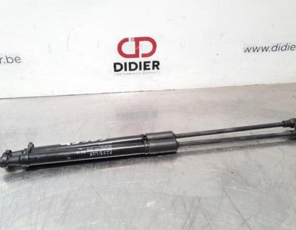 Bootlid (Tailgate) Gas Strut Spring CITROËN C3 III (SX), CITROËN C3 II (SC_)