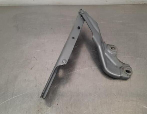 Bonnet Hinge AUDI A6 Avant (4G5, 4GD, C7), AUDI A6 Allroad (4GH, 4GJ, C7), AUDI A7 Sportback (4GA, 4GF)