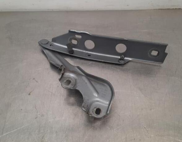 Bonnet Hinge AUDI A6 Avant (4G5, 4GD, C7), AUDI A6 Allroad (4GH, 4GJ, C7), AUDI A7 Sportback (4GA, 4GF)