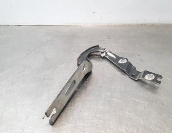 Bonnet Hinge VW POLO (AW1, BZ1)