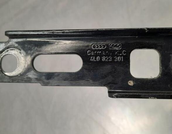 Bonnet Hinge AUDI Q7 (4LB), AUDI Q7 Van (4LB), AUDI Q7 (4MB, 4MG)