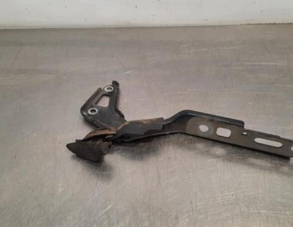 Bonnet Hinge AUDI Q7 (4LB), AUDI Q7 Van (4LB), AUDI Q7 (4MB, 4MG)