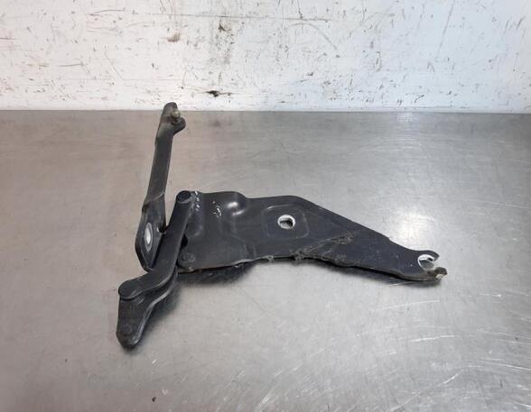 Bonnet Hinge BMW X5 (E70), BMW X6 (E71, E72), BMW X3 (F25)