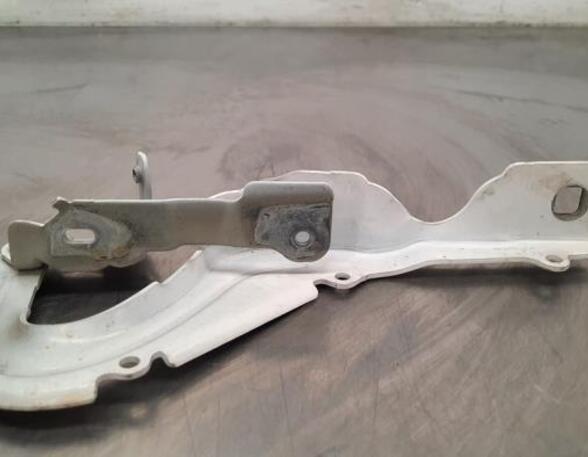 Bonnet Hinge CITROËN C3 III (SX), CITROËN C3 II (SC_)