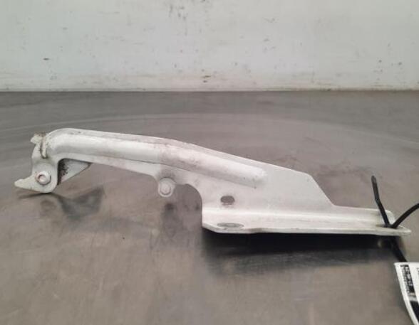 Bonnet Hinge RENAULT KANGOO Express (FW0/1_), RENAULT KANGOO / GRAND KANGOO (KW0/1_)