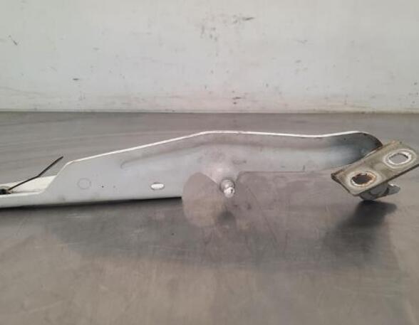 Bonnet Hinge RENAULT KANGOO Express (FW0/1_), RENAULT KANGOO / GRAND KANGOO (KW0/1_)