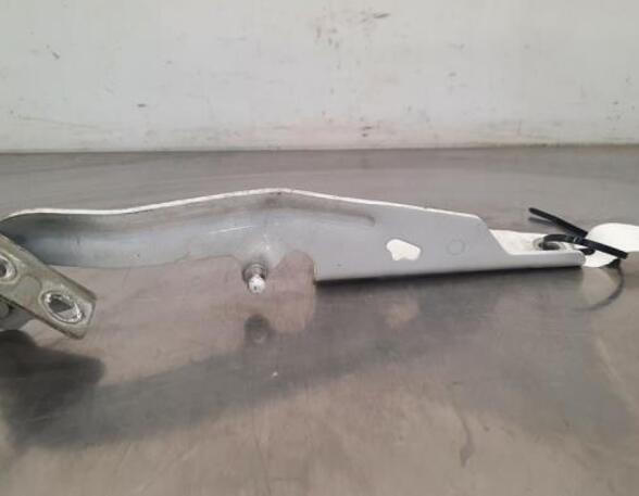 Bonnet Hinge RENAULT KANGOO Express (FW0/1_), RENAULT KANGOO / GRAND KANGOO (KW0/1_)