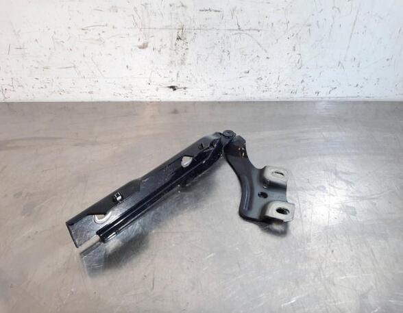 Bonnet Hinge AUDI A1 Sportback (GBA)