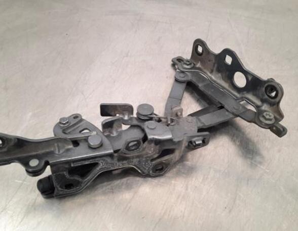 Bonnet Hinge MERCEDES-BENZ S-CLASS (W222, V222, X222), MERCEDES-BENZ S-CLASS (W221)