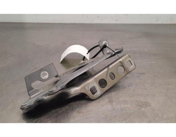 Bonnet Hinge CITROËN C5 AIRCROSS (A_)