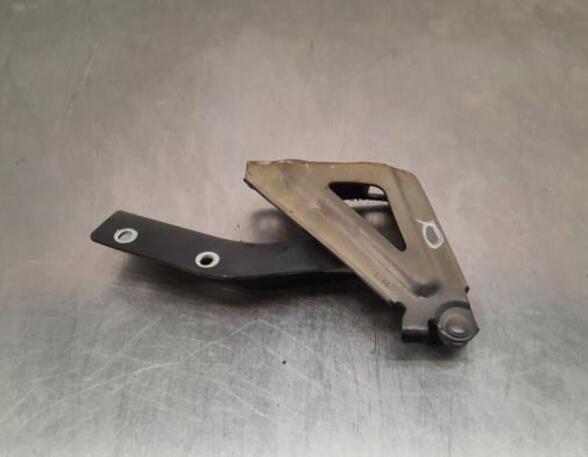 Bonnet Hinge FIAT FIORINO Box Body/MPV (225_), FIAT QUBO (225_), FIAT FIORINO MPV (225_)