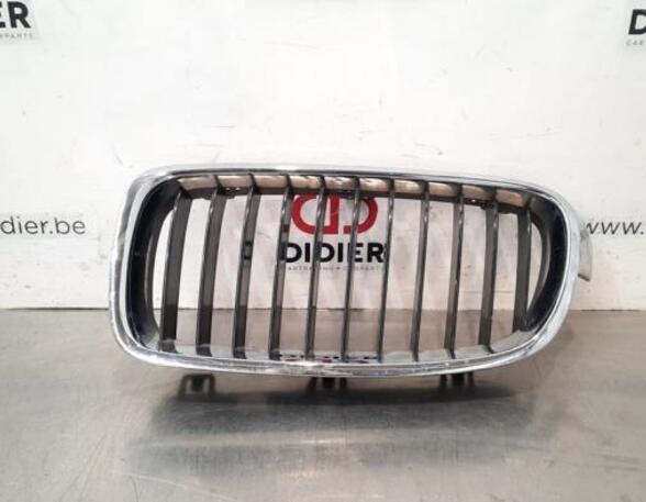 Radiateurgrille BMW 3 Touring (F31), BMW 3 Touring Van (F31), BMW 3 Touring Van (G21)