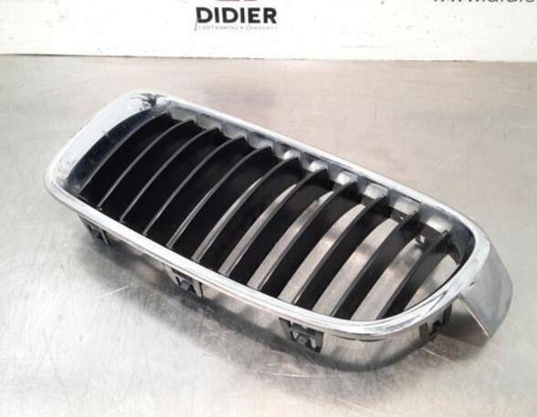 Radiateurgrille BMW 3 Touring (F31), BMW 3 Touring Van (F31), BMW 3 Touring Van (G21)