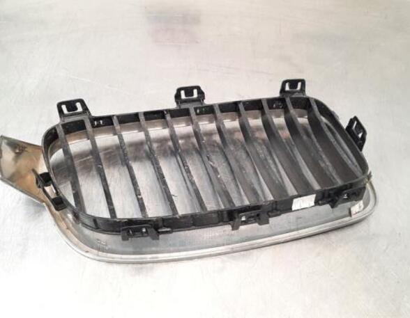 Radiateurgrille BMW 3 Touring (F31), BMW 3 Touring Van (F31), BMW 3 Touring Van (G21)