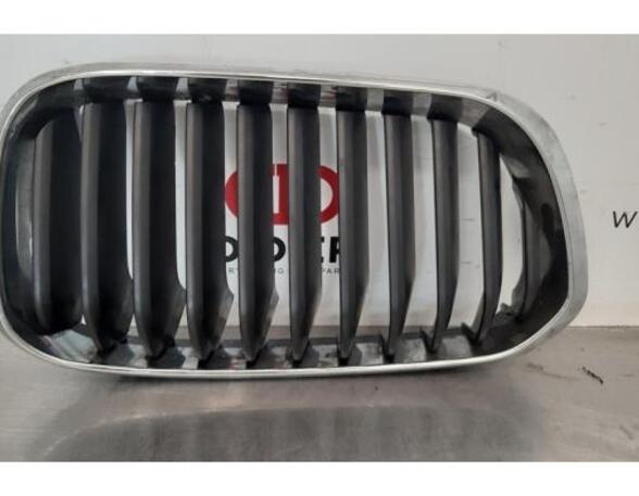 Kühlergrill BMW 1er F20 7371748 P13441393