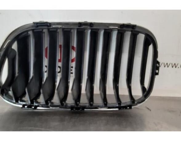 Kühlergrill BMW 1er F20 7371748 P13441393