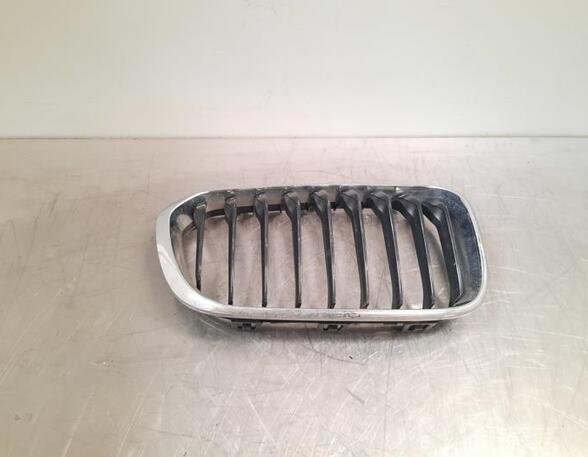 Radiator Grille BMW 1 (F20)