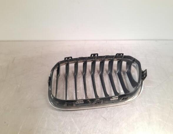 Radiator Grille BMW 1 (F20)