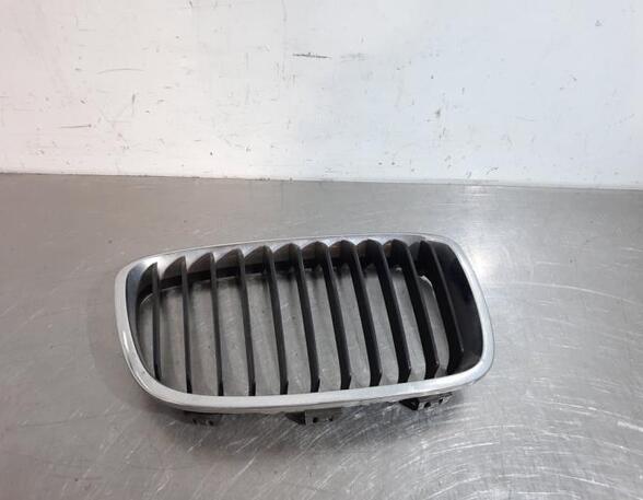 Kühlergrill BMW 1er F20 51137239022 P18526508