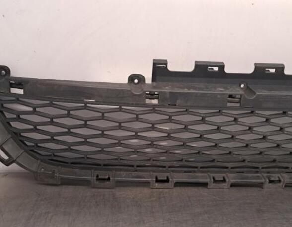 Kühlergrill Land Rover Discovery Sport L550  P20067994