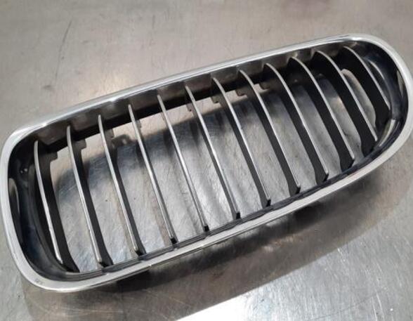 Kühlergrill BMW 3er Touring E91 224059 P15451749