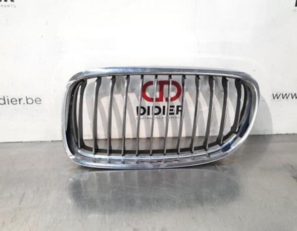 Radiateurgrille BMW 3 Touring (E91)