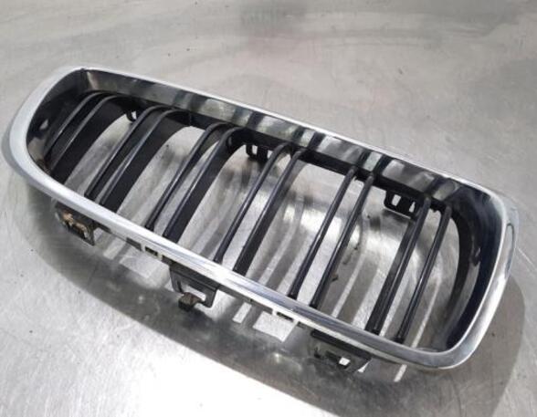 Radiator Grille BMW 4 Coupe (F32, F82)