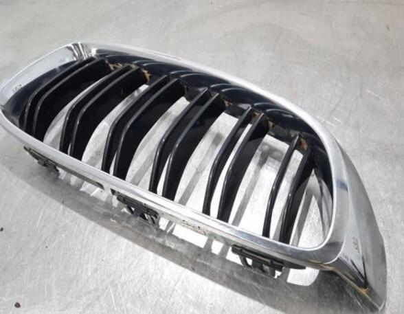 Radiator Grille BMW 4 Coupe (F32, F82)